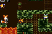 Tails Adventure - Screenshot 5 of 7
